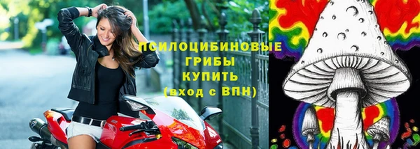 винт Абинск