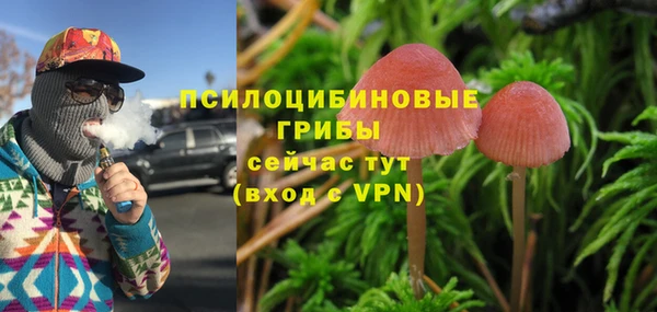 первитин Абаза