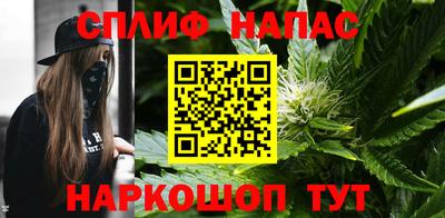 гидра Можга
