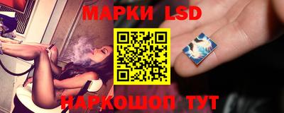 гидра Можга