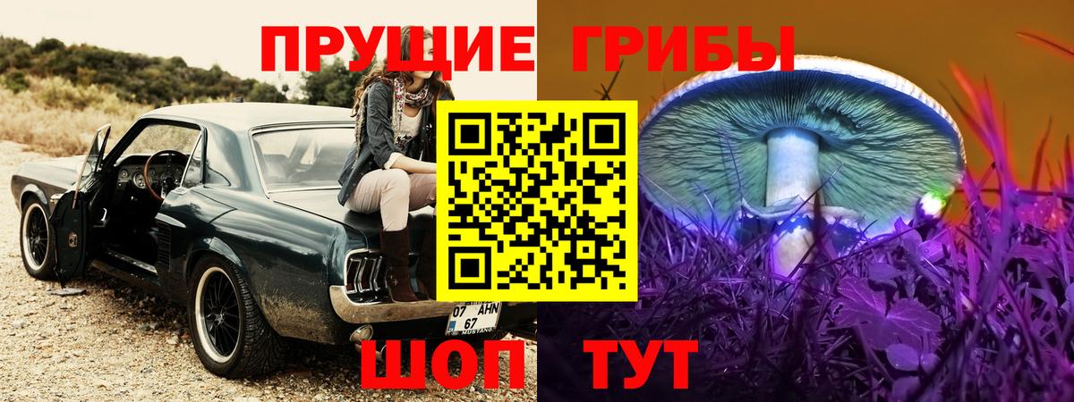 Зеленокумск  Галлюциногенные грибы MAGIC MUSHROOMS  Вход с VPN 
